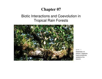 Chapter 07  Biotic Interactions and Coevolution in  Tropical Rain Forests  PLATE 7-1  Epiphytes on