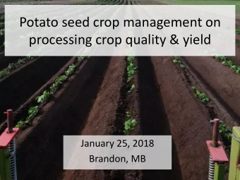 Potato seed crop management on  processing crop quality &amp; yield  January 25, 2018  Brandon, MB