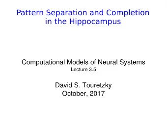 Pattern Separation and Completion  in the Hippocampus  Computational Models of Neural Systems