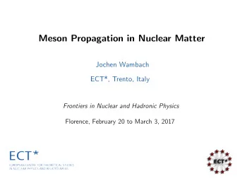 Meson Propagation in Nuclear Matter  Jochen Wambach  ECT*, Trento, Italy  Frontiers in Nuclear and
