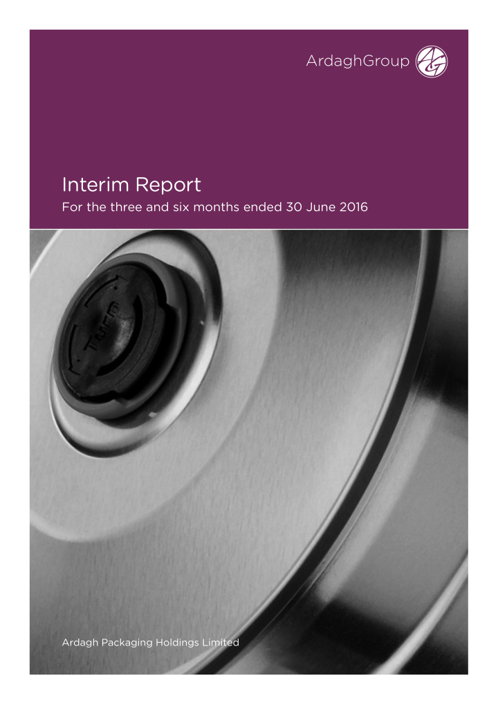 interim report