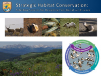 the 21 st century conservation vision