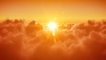 Relax Into Enlightenment  W E L C O M E  S H A U M B R A  T H E  T R A N S H U M A N  S E R I E S