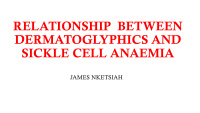 relationship between dermatoglyphics and