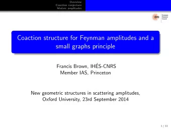 Coaction structure for Feynman amplitudes and a  small graphs principle  Francis Brown, IH