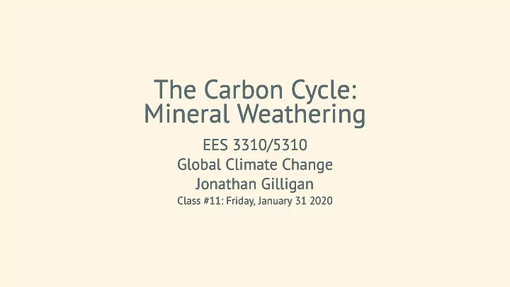 the carbon cycle the carbon cycle mineral weathering