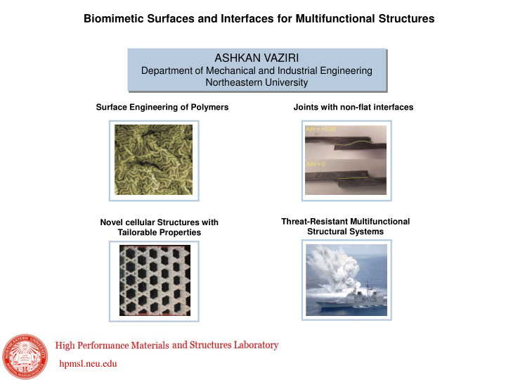 biomimetic surfaces and interfaces for multifunctional