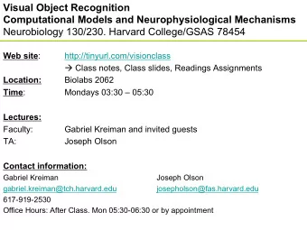 Visual Object Recognition  Computational Models and Neurophysiological Mechanisms  Neurobiology