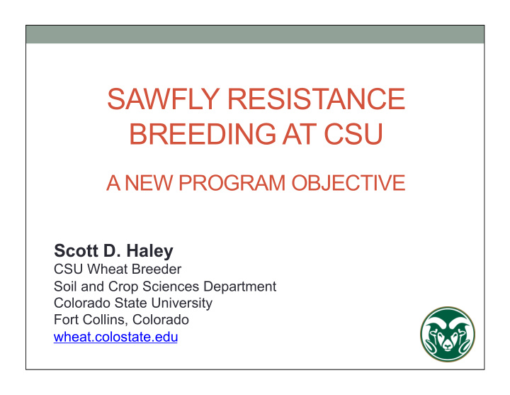 sawfly resistance