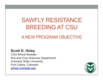 SAWFLY RESISTANCE BREEDING AT CSU  A NEW PROGRAM OBJECTIVE  Scott D. Haley  CSU Wheat Breeder  Soil
