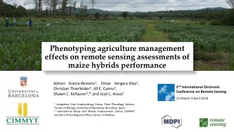 Phenotyping agriculture management  effects on remote sensing assessments of  maize hybrids