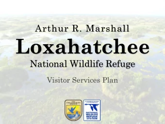 Loxahatchee  National Wildlife Refuge  Visitor Services Plan  A.R.M. Loxahatchee National Wildlife