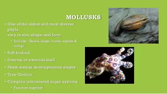 MOLLUSKS  One of the oldest and most diverse  phyla  vary in size, shape and form  Include :