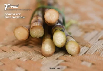 PRESE  RESENT  NTATION  TION  FEBRUARY 2020  Triveni Group Organisation Structure  Triveni  Group