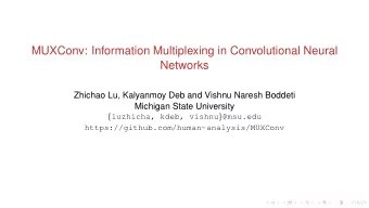 MUXConv: Information Multiplexing in Convolutional Neural  Networks  Zhichao Lu, Kalyanmoy Deb and
