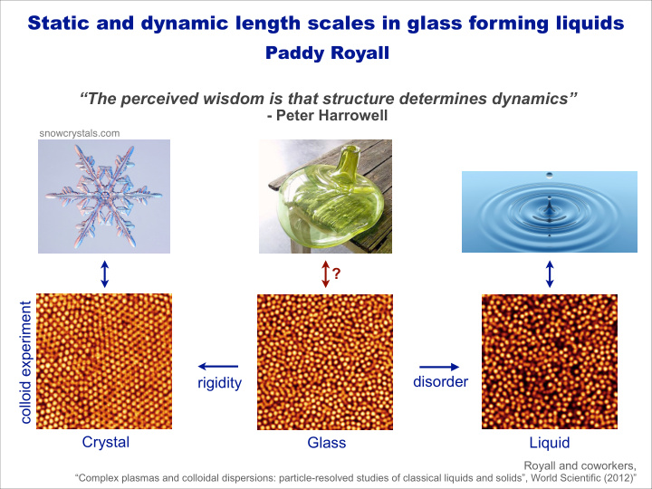 static and dynamic length scales in glass forming liquids
