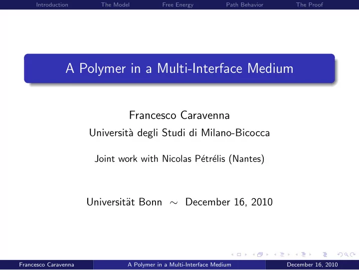 a polymer in a multi interface medium