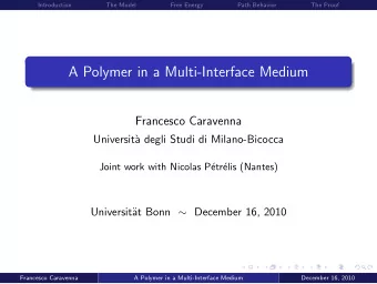 A Polymer in a Multi-Interface Medium  Francesco Caravenna  Universit`  a degli Studi di
