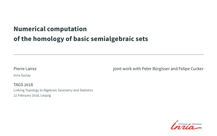 numerical computation of the homology of basic