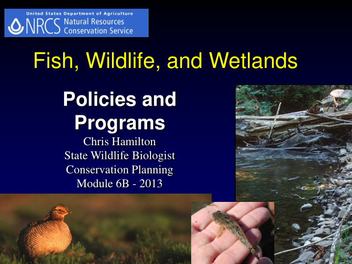 fish wildlife and wetlands
