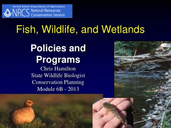 Fish, Wildlife, and Wetlands  Policies and  Programs  Chris Hamilton  State Wildlife Biologist