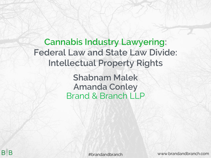 cannabis industry lawyering federal law and state law