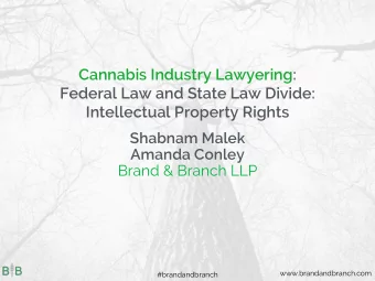 Cannabis Industry Lawyering:  Federal Law and State Law Divide:  Intellectual Property Rights
