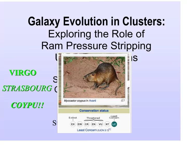 galaxy evolution in clusters