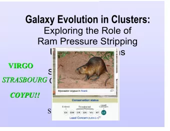 Galaxy Evolution in Clusters:  Exploring the Role of  Ram Pressure Stripping  Using Simulations