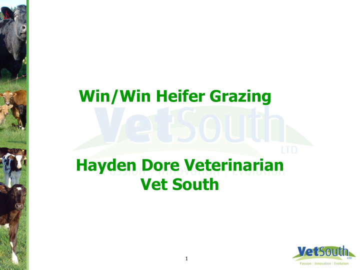 win win heifer grazing hayden dore veterinarian vet south