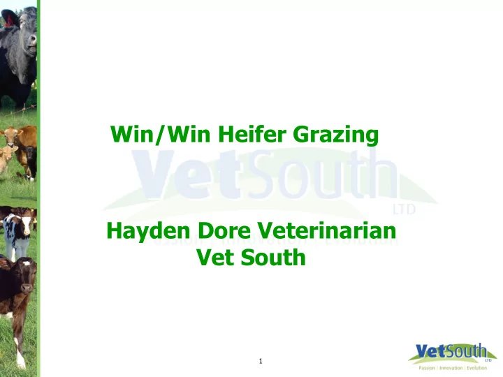 win win heifer grazing hayden dore veterinarian vet south