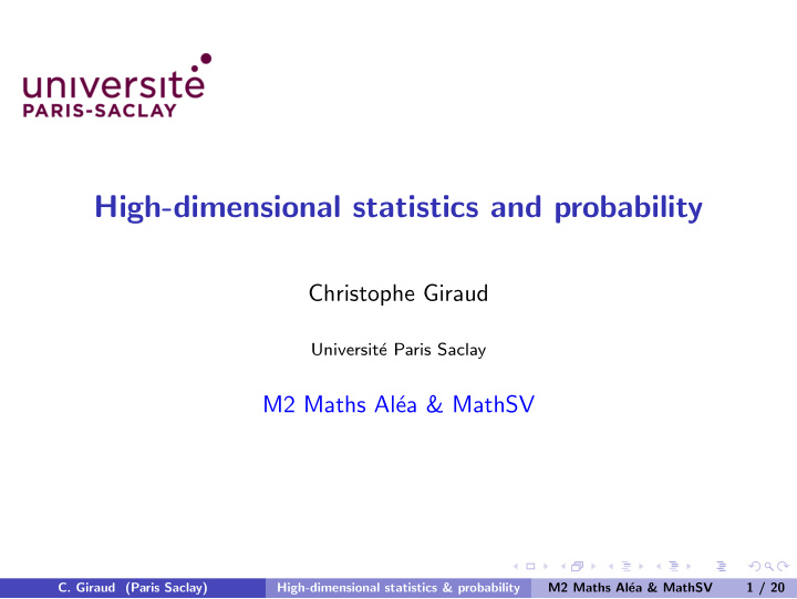 high dimensional statistics and probability