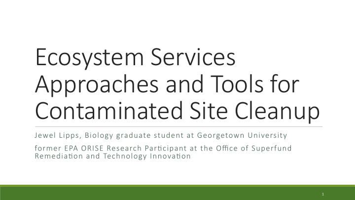 ecosystem services approaches and tools for contaminated