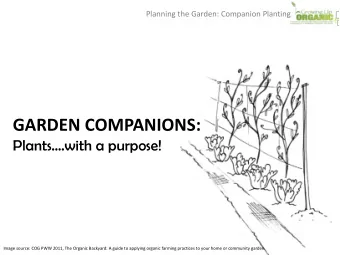 GARDEN COMPANIONS: Plants.with a purpose!  Image source: COG PWW 2011, The Organic Backyard: A