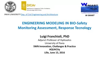 ENGINEERING MODELING IN BIO-Safety  Monitoring Assessment, Response Tecnology  Luigi Franchioli,