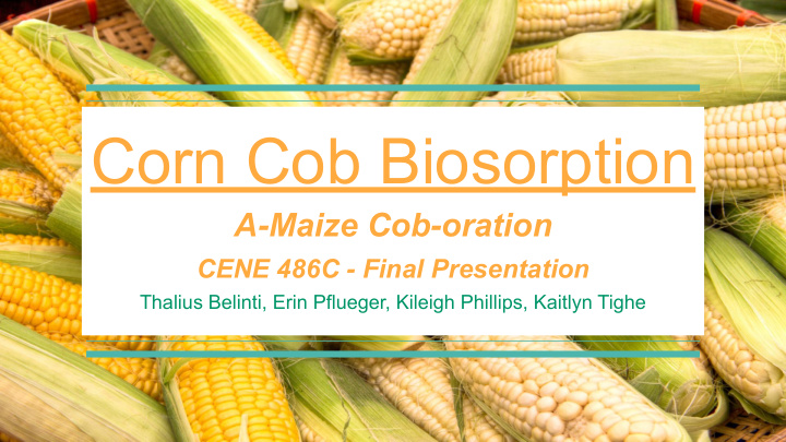 corn cob biosorption