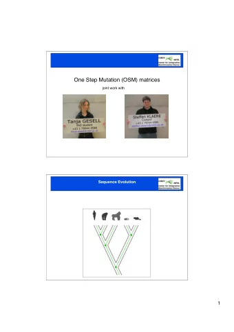 One Step Mutation (OSM) matrices  joint work with  Sequence Evolution  1  Sequence Evolution