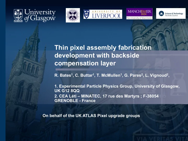 thin pixel assembly fabrication development with backside