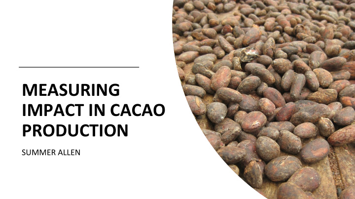measuring impact in cacao production
