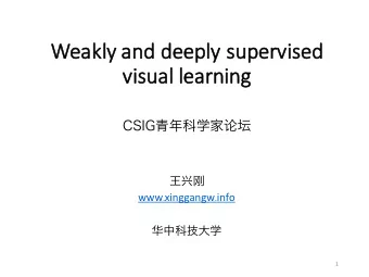 We  Weakly and deeply supervised  vi  visual learning www . xinggangw . info  1  Annotation time of