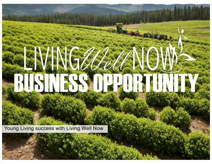 business opportunity