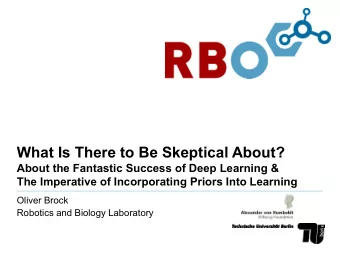 What Is There to Be Skeptical About?  About the Fantastic Success of Deep Learning &amp;  The