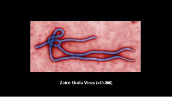 Congo  N Engl J Med 2014;371:1375  N Engl J Med 2014;371:1418  As of November 11, 2014  Secondary