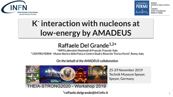 k interaction with nucleons at low energy by amadeus