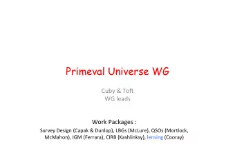 Primeval Universe WG  Cuby  &amp;  To)    WG  leads    Work  Packages  :
