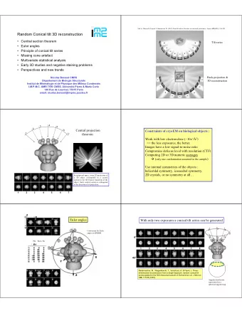 Random Conical tilt 3D reconstruction   Central section theorem  Tilt series   Euler angles