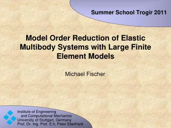 Model Order Reduction of Elastic  Multibody Systems with Large Finite  Element Models  Michael