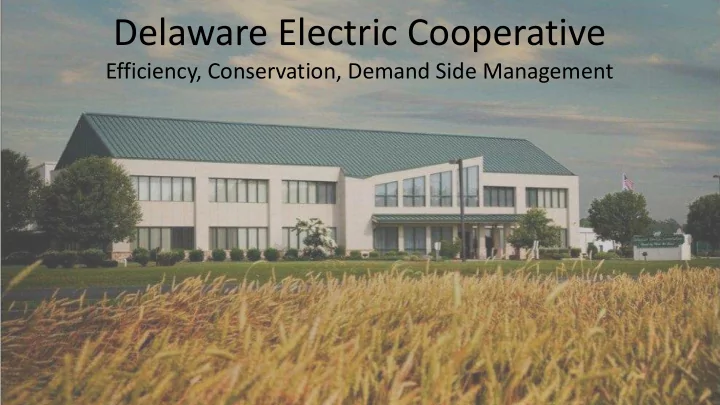delaware electric cooperative
