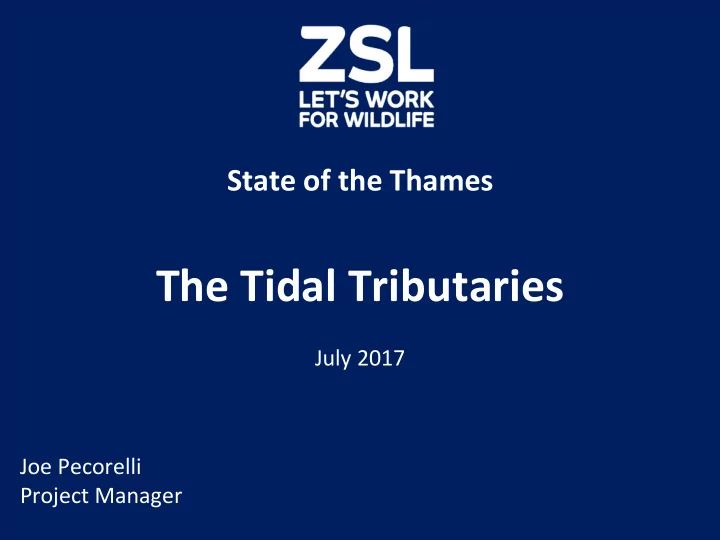 the tidal tributaries july 2017 joe pecorelli project