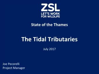 The Tidal Tributaries July 2017  Joe Pecorelli  Project Manager  2002  Walbrook  Fleet  Tyburn
